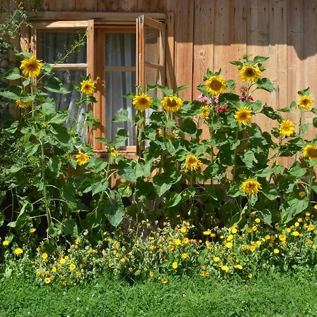 Chowancowka 民宿 *