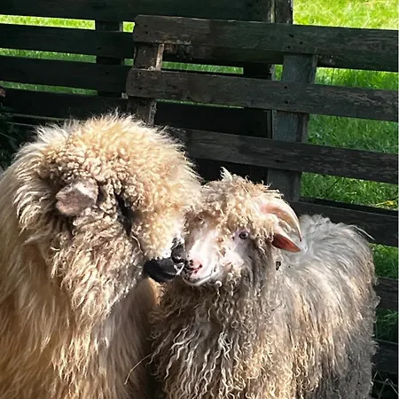 Chowancowka Poronin